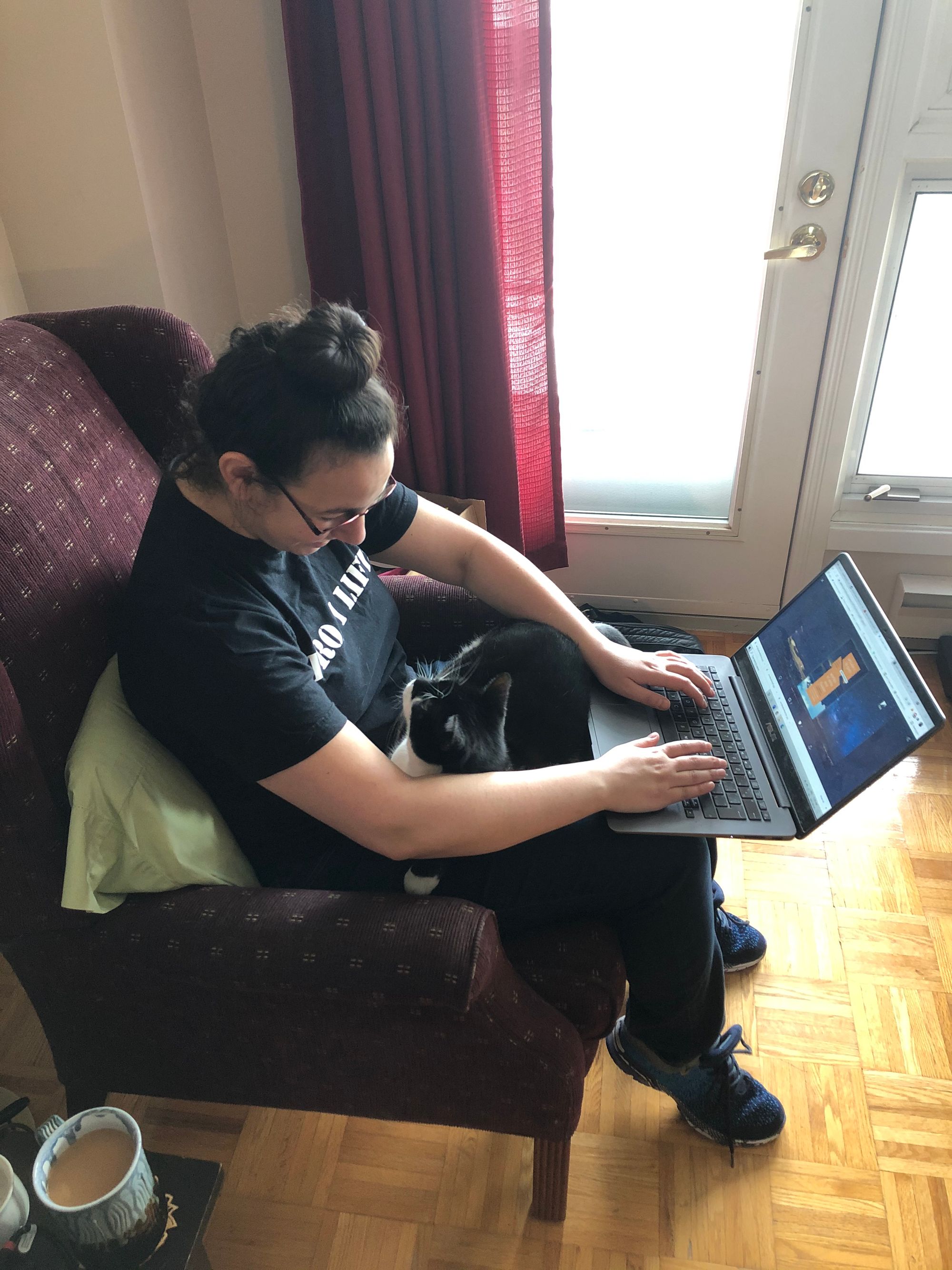Portrait of the author importuned by an extremely criminal cat manoeuvering a whole laptop out of the way in order to sit on said author and look up at her in all innocence.