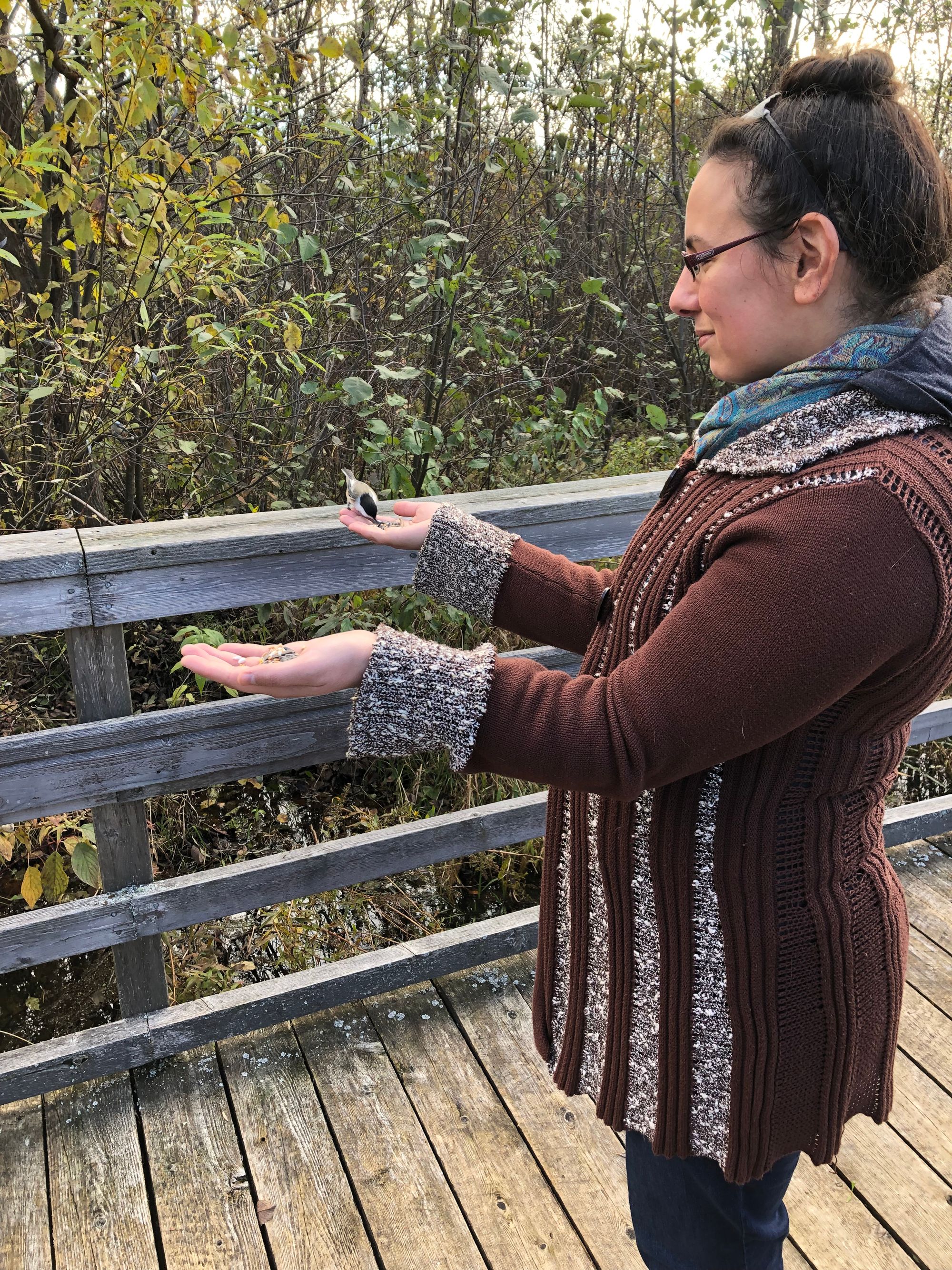  Me on a bridge over wetlands, surrounded by small trees, holding both hands out, palms up, with seeds in them. A chickadee perches on my right hand, grabbing at seeds with its beak. I'm dressed in a long brown knitted cardigan buttoned bulkily over three layers of clothes and a pair of dark jeans, and wearing a feather-shaped headband in top-knotted dark hair and a teal scarf in a paisley pattern.