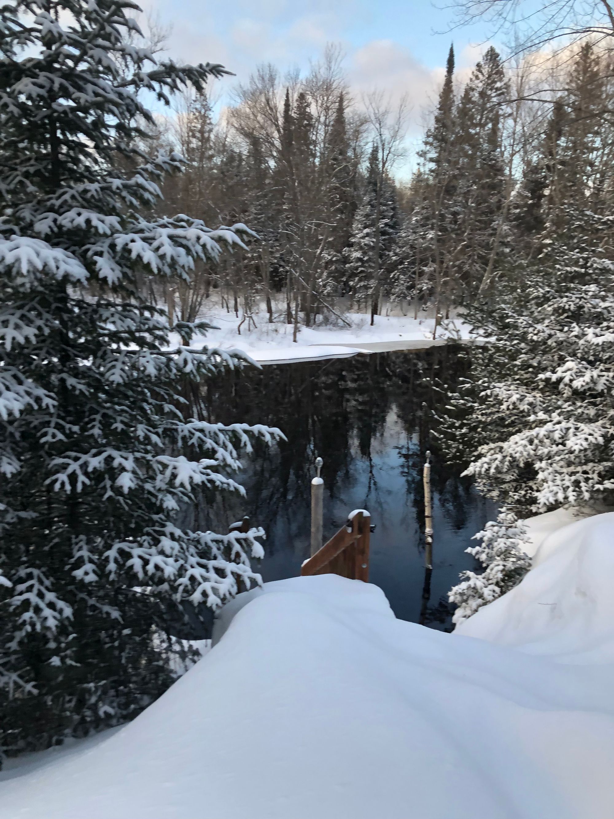 A mixture of snow-laden pines and bare trees on either side of a river, both banks voluminous with snow. 