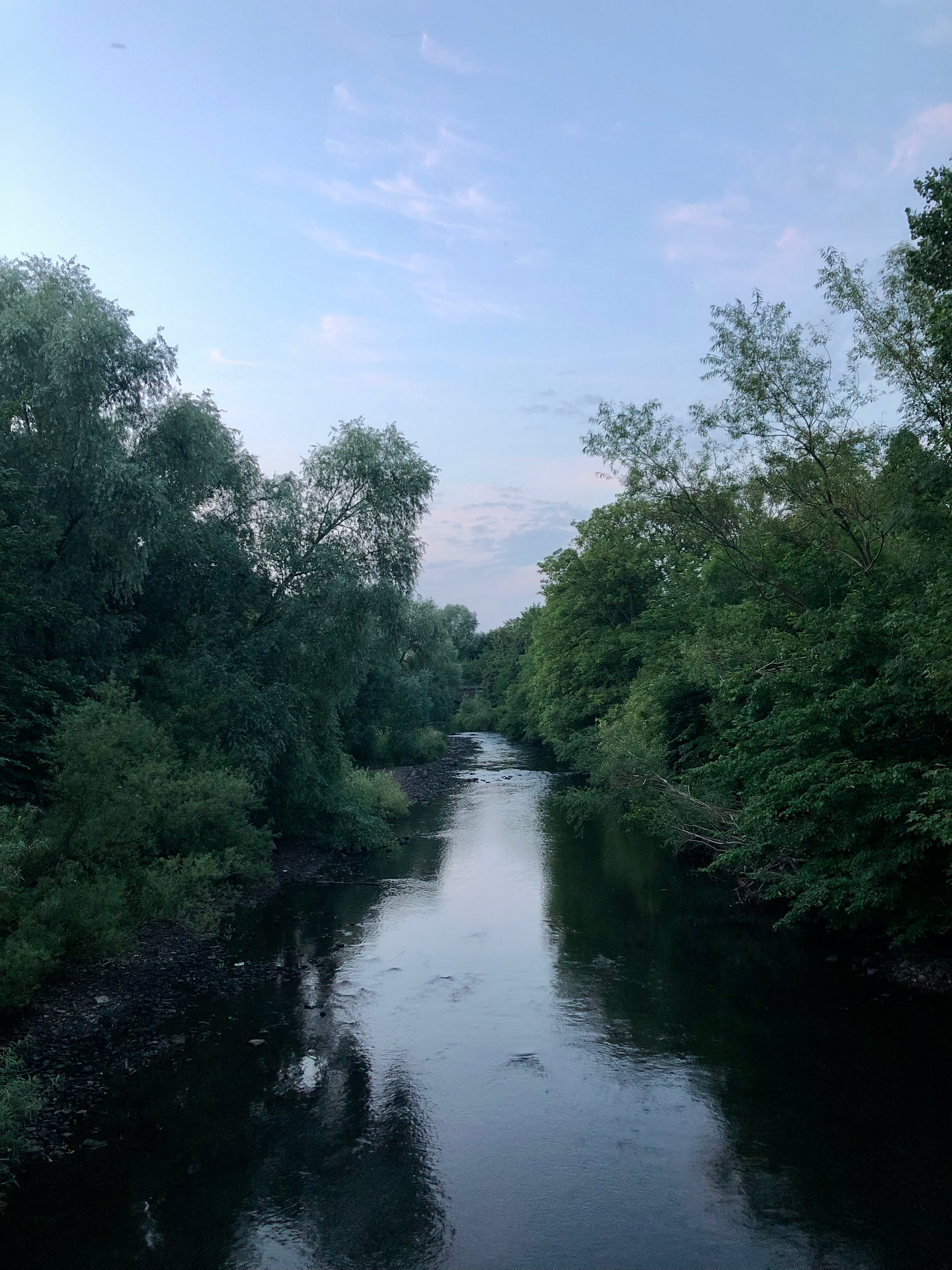 The river Kelvin in a lavender dusk, flanked by green trees on both sides.