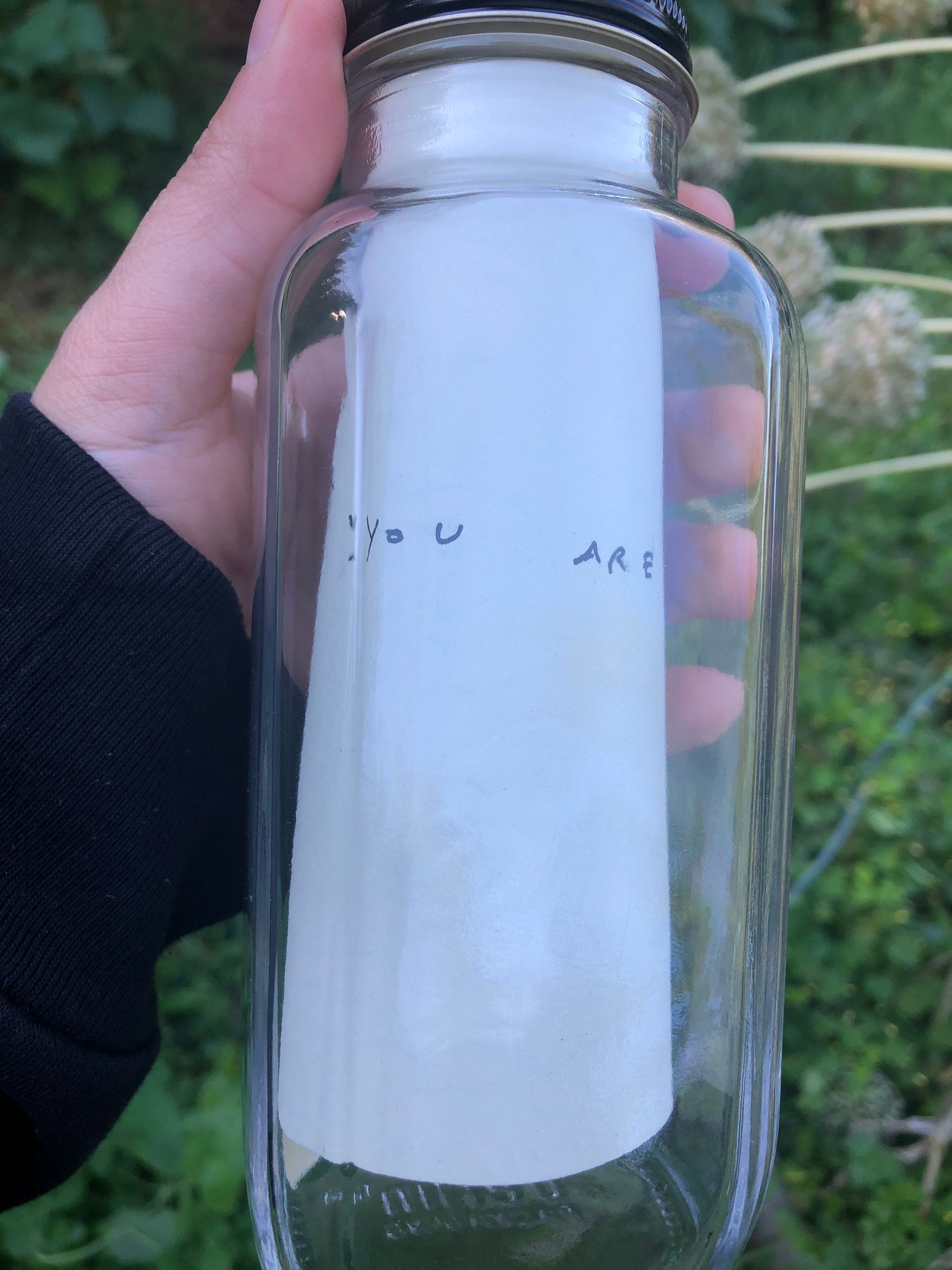 glass bottle, held up in my hand. Inside the bottle is a rolled up piece of paper; in this photo the words visible on it read "You are"
