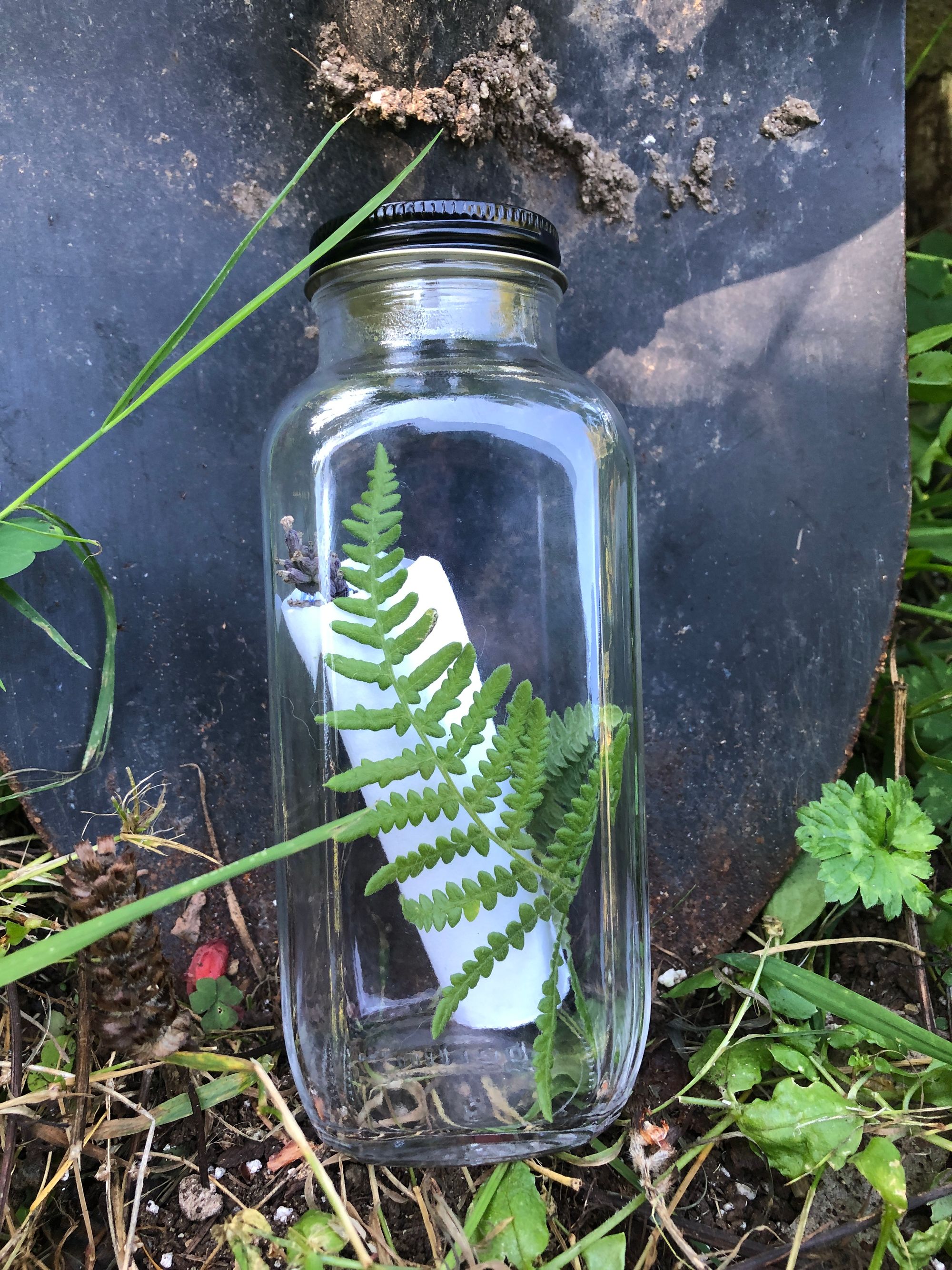 A glass bottle propped up against a shovel, containing a fern, a sprig of lavender, and a rolled up piece of paper.