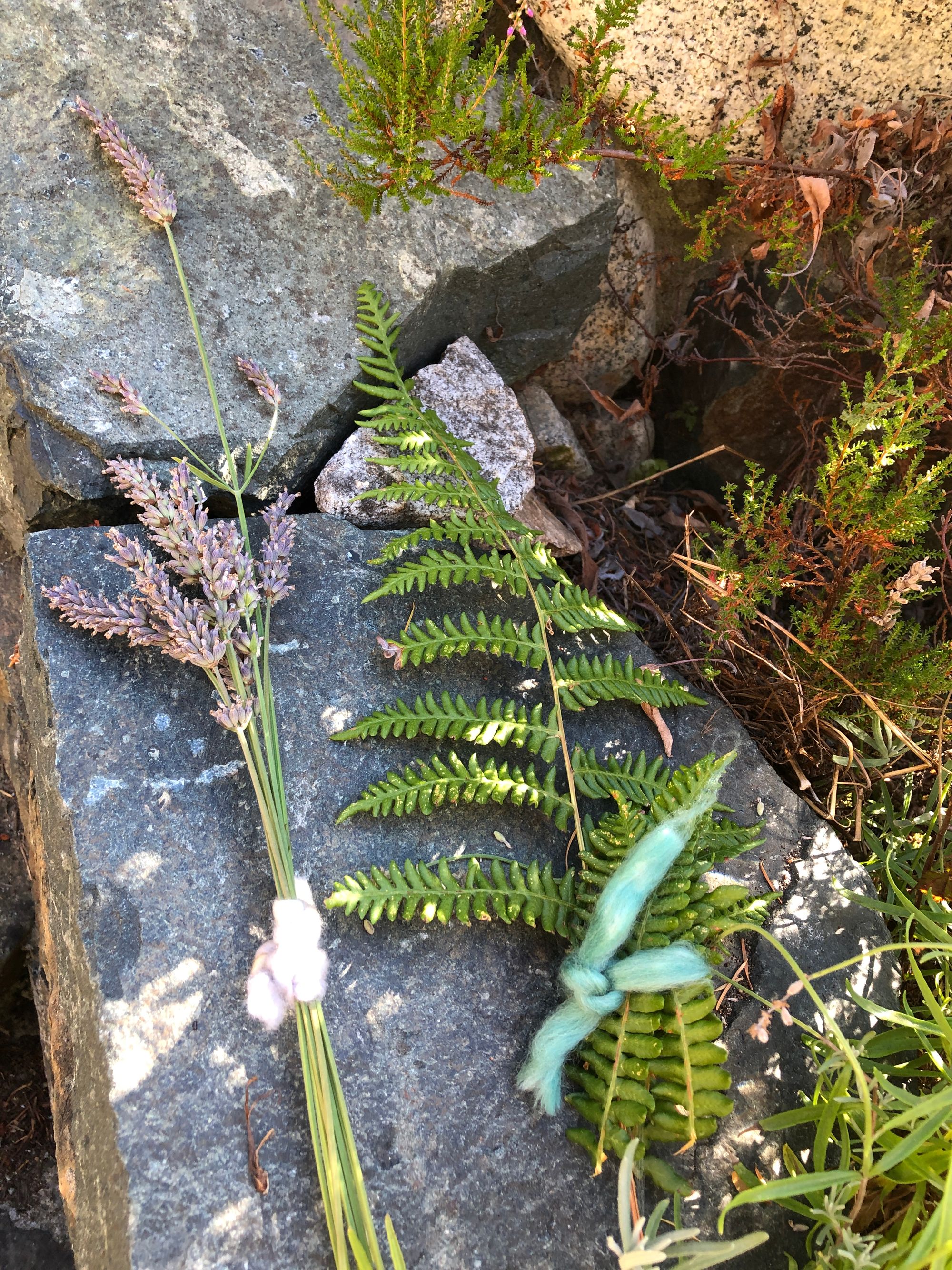 A bundle of lavender sprigs and a bundle of ferns, each tied up with thick, colourful roving and laid on a large grey stone slab.