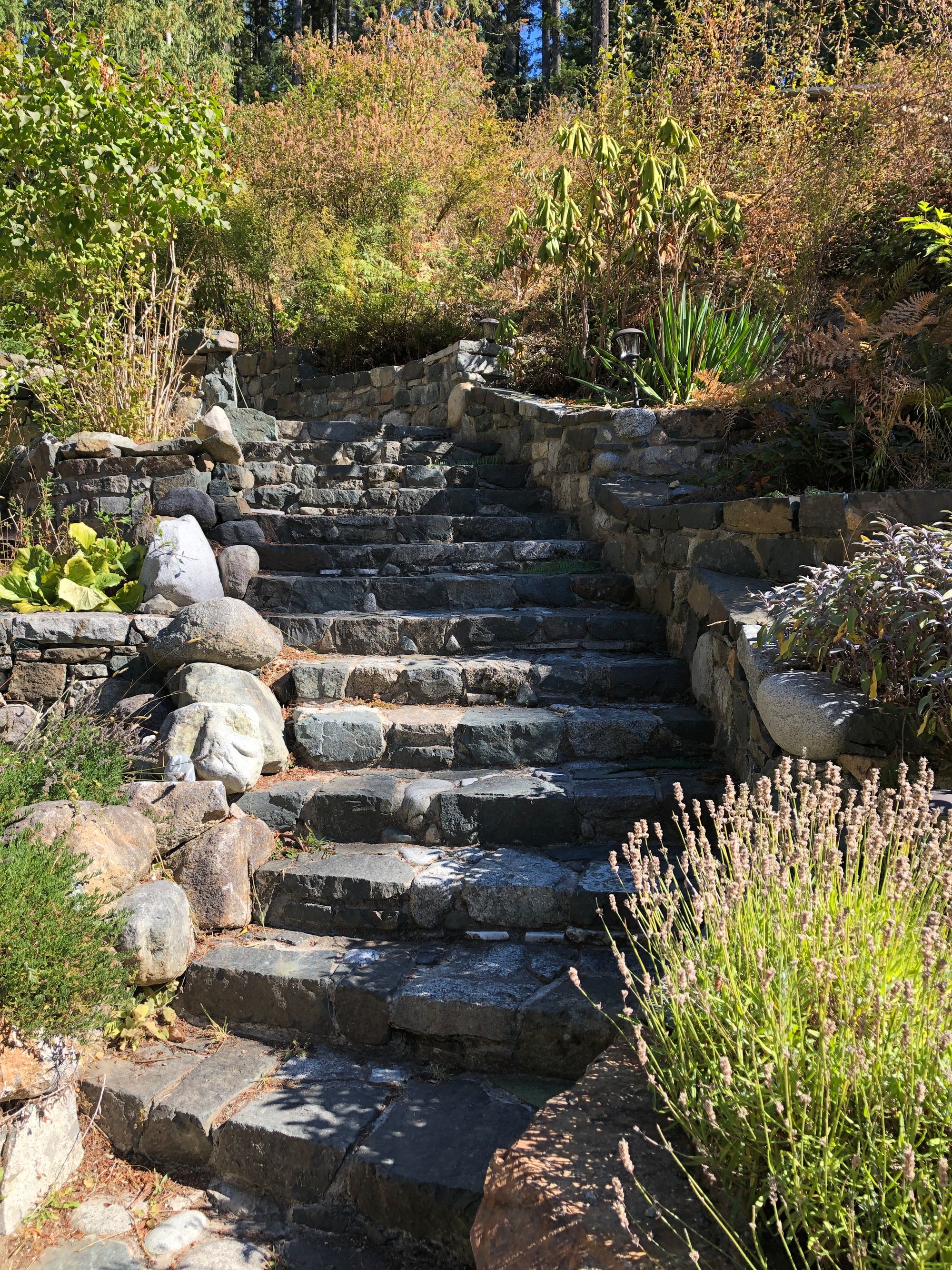 A curving stone staircase in bright sunlight, surrounded by terraced spots of greenery.
