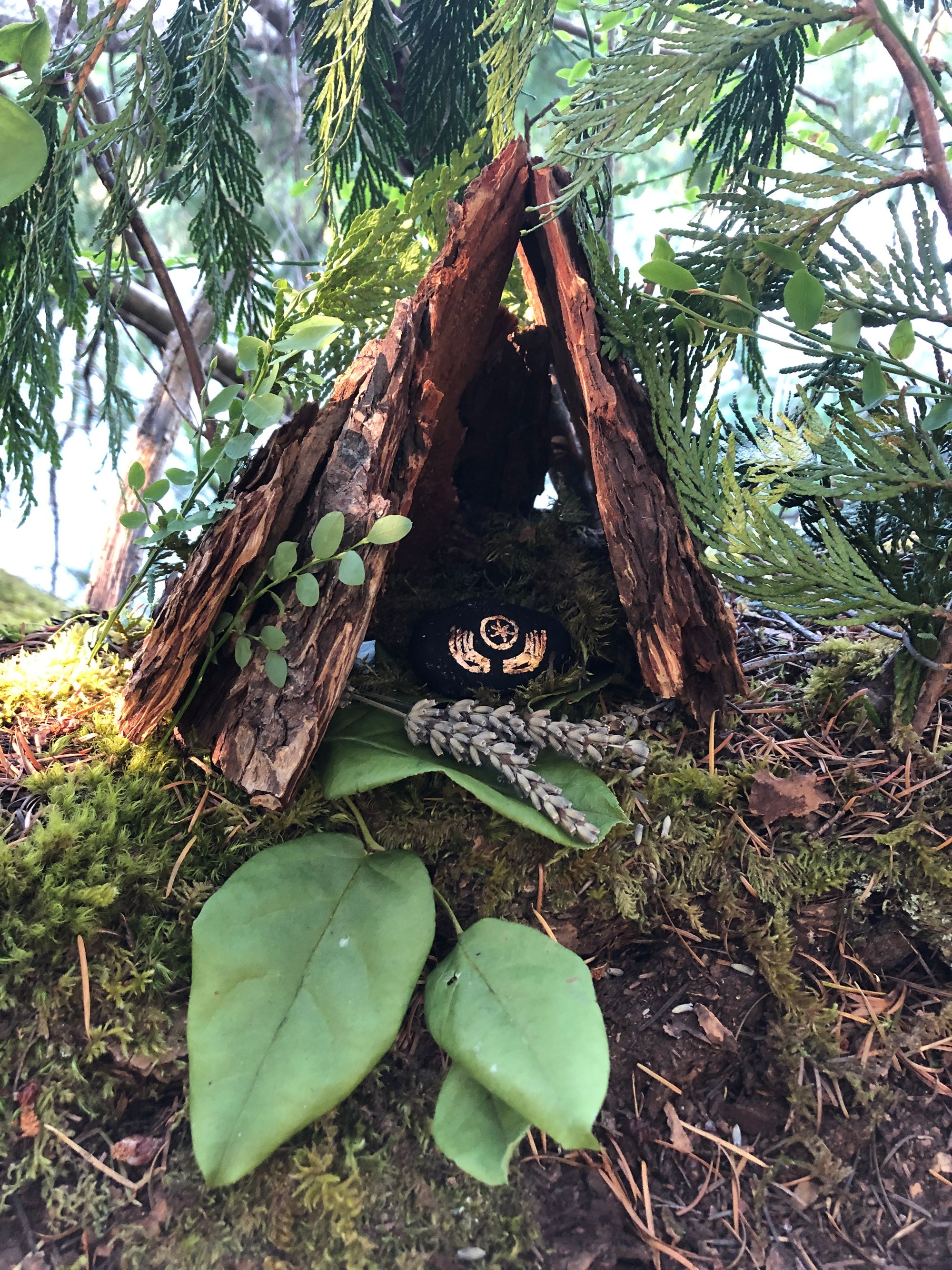 On a mossy log, a small shelter made of leaning lengths of tree bark encloses two sprigs of lavender and a stone on which have been painted, in metallic paint, two stylized hands above which floats a circle with an asterix inside. It looks like a sacred space enfolding a precious secret..