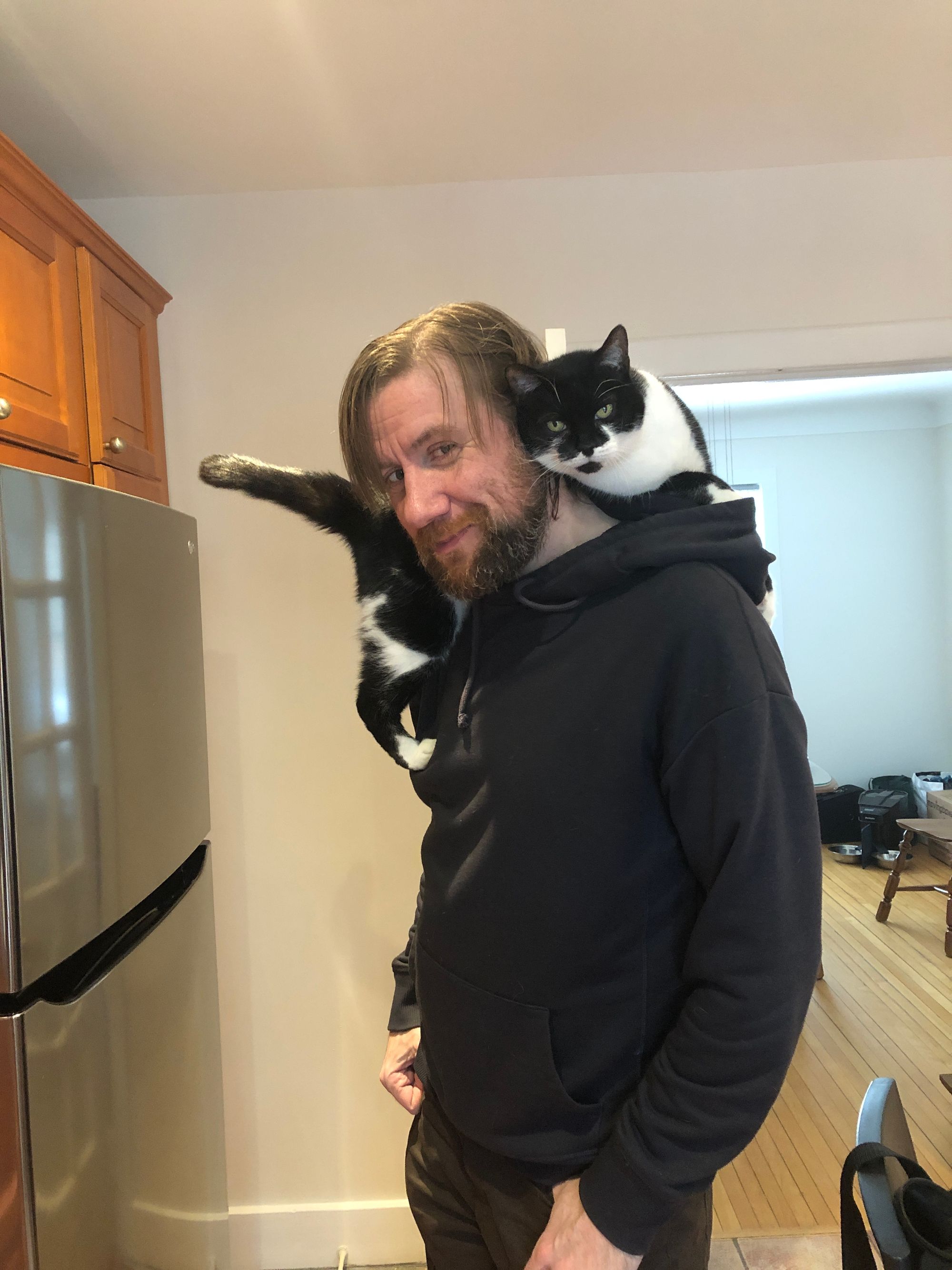 A black and white cat (Millie) is draped over the shoulder of a ginger-bearded man in a hoodie (Stu).
