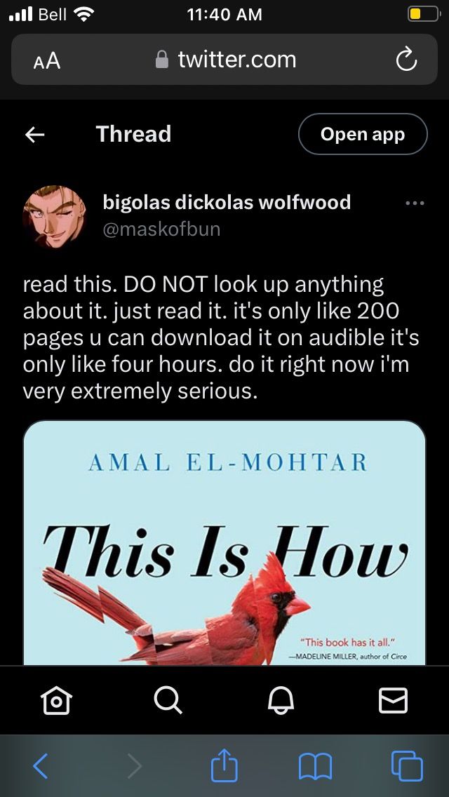 Screenshot of Bigolas Dickolas Wolfwood (username: maskofbun) writes "read this. DO NOT look up anything about it. just read it. it's only like 200 pages u can download it on audible it's only like four hours. do it right now i'm very extremely serious" above the top half of the cover of This Is How You Lose the Time War.