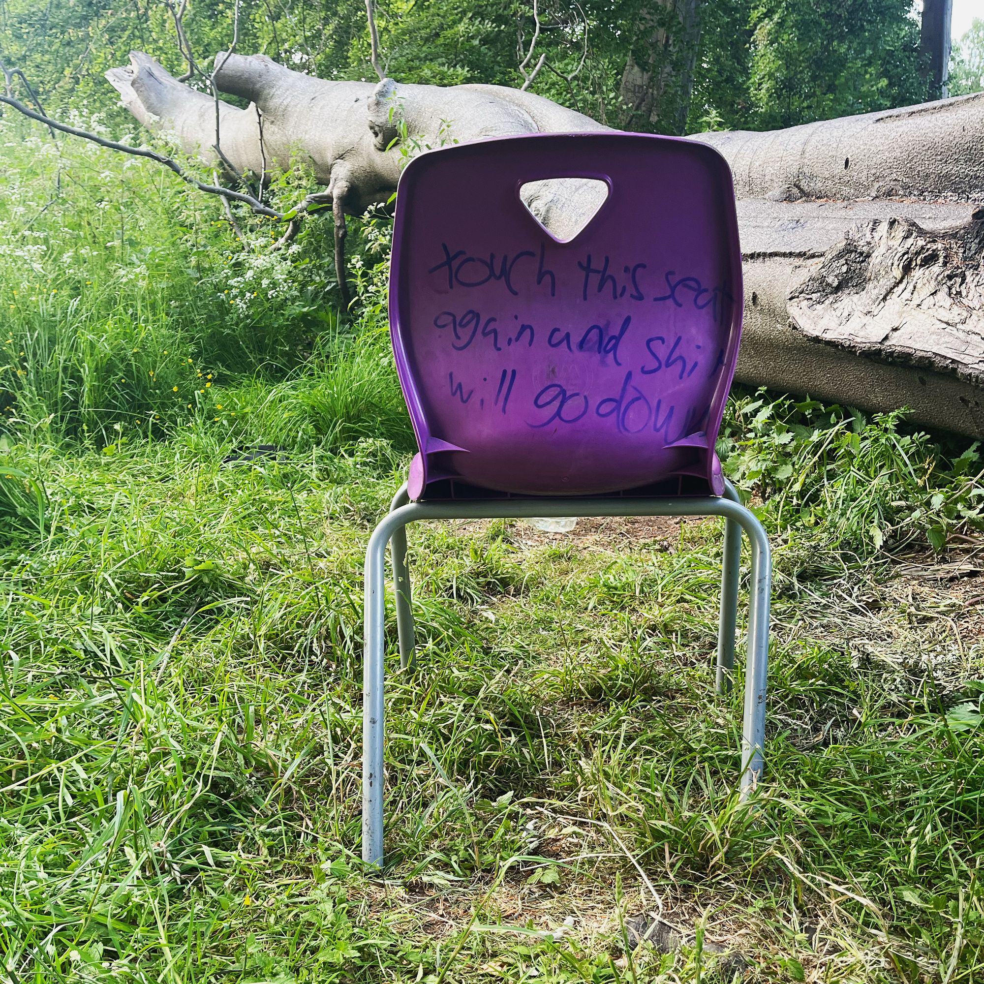 In the foreground, a purple plastic chair with metal legs sits empty on the grass in a wood, facing a gigantic fallen beech tree. On the back of the chair, facing the camera, are written the words "Touch this seat again and shit will go down" in black marker. 
