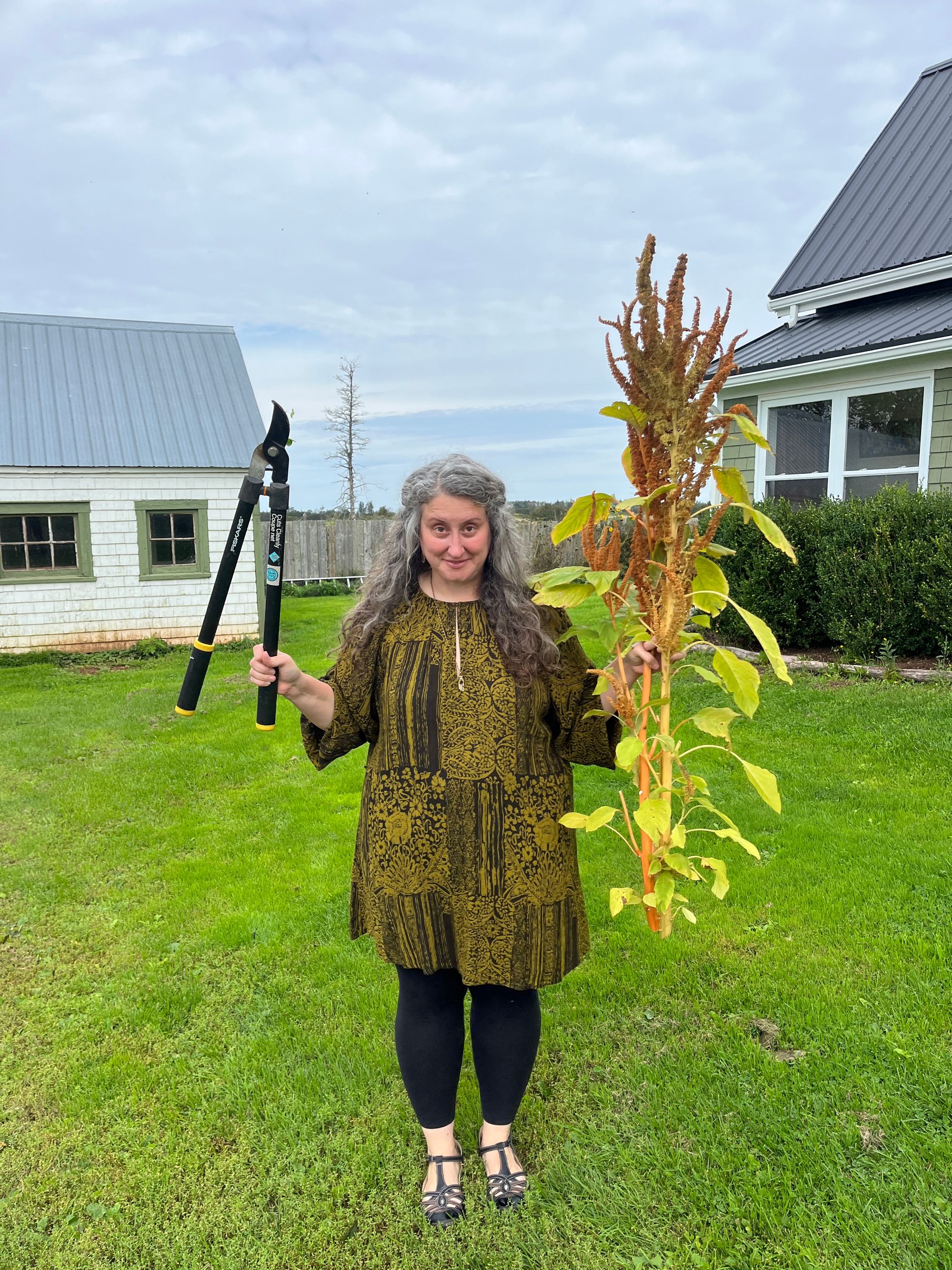 Caitlyn in the same outfit, but looking impishly threatening as she holds up a giant pair of lopping shears in one hand and two tall staves of amaranth in the other.