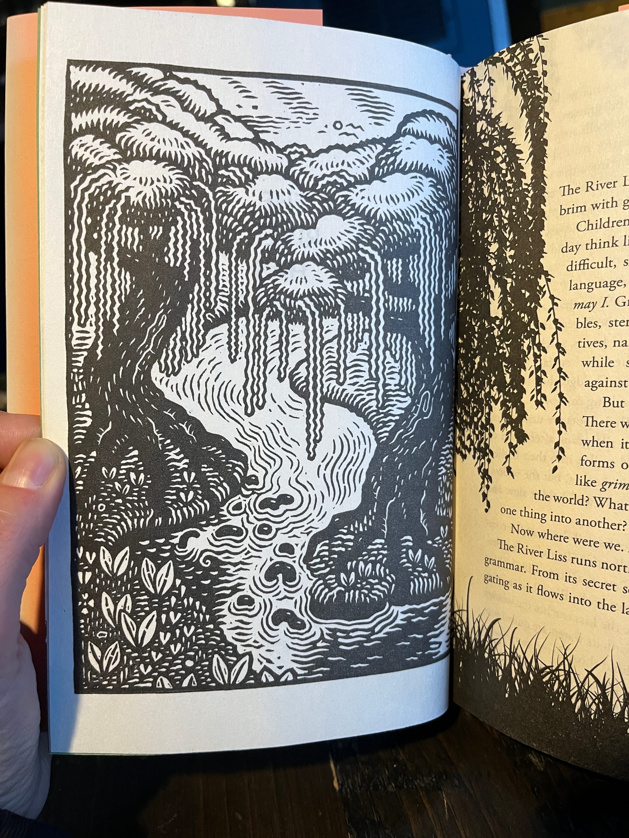 A woodcut style illustration showing a pair of willows flanking a river, their roots knobbling the surface of the water between them. 