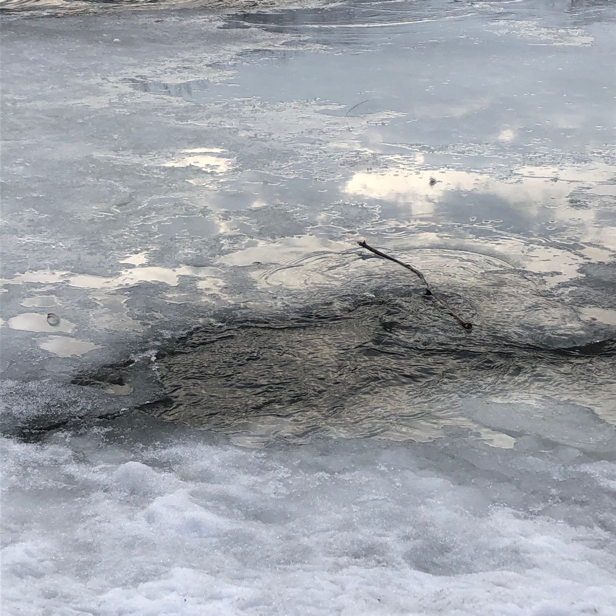 close-up of a partially frozen river in late afternoon, a small stick caught on a scrim of ice, surrounded by ripples and flowing water.