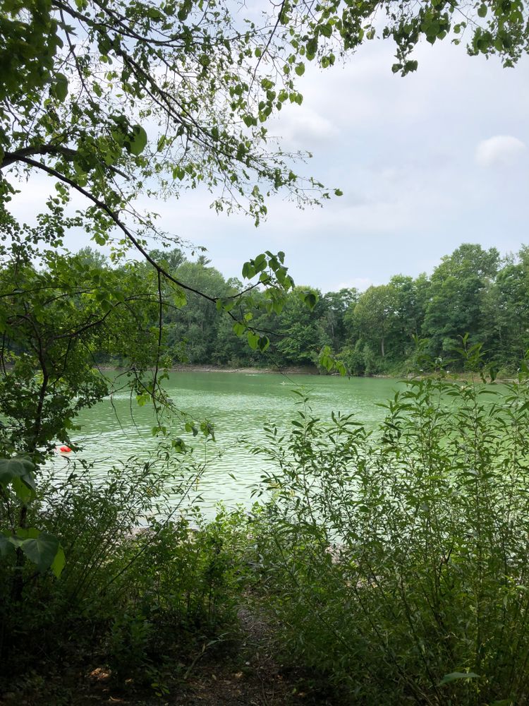 A glimpse of a greenish man-made lake glimpsed through trees and surrounded by them beneath a hazy blue sky.