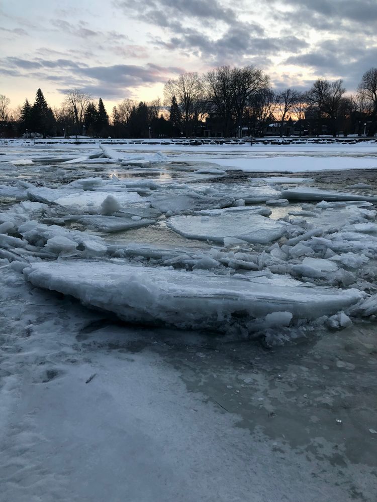 Friday Open Thread (with Breaking Ice)