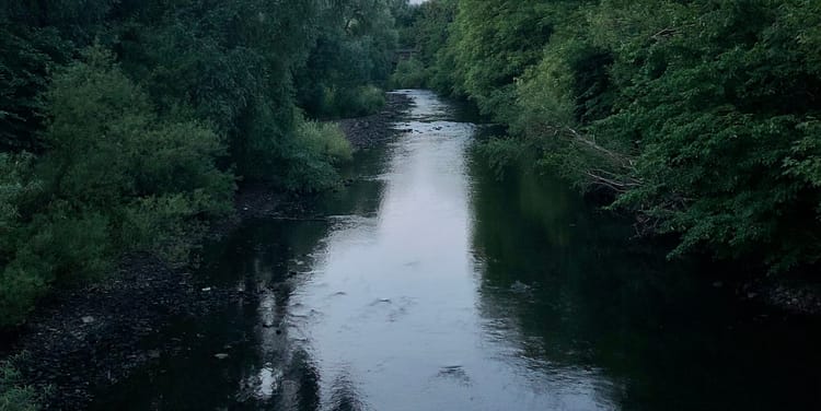 The River Kelvin in Glasgow seen from a bridge above it, flanked with dark green trees.