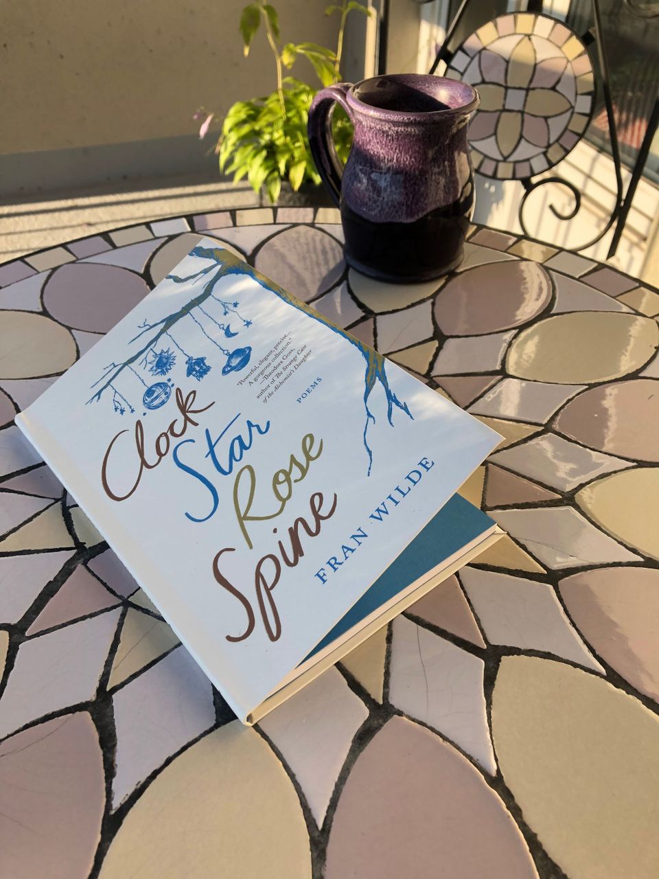 A book foregrounded on a tiled patio table dappled in early morning light. The book is CLOCK STAR ROSE SPINE by Fran Wilde. 